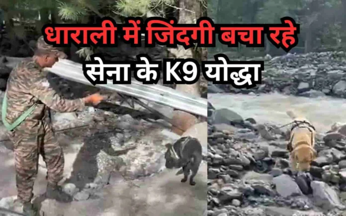 Dharali HADR Ops: Indian Army’s K9 Warriors Act as Eyes, Ears, and Nose in Disaster Relief, Searching for Survivors in 7-Foot-Deep Debris